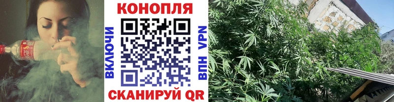 Купить наркотики сайты Злынка СК МЕФ КЕТАМИН ГАШИШ