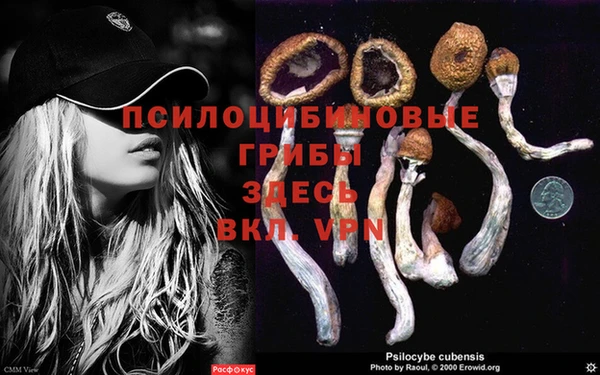 мяу мяу кристалл Вяземский