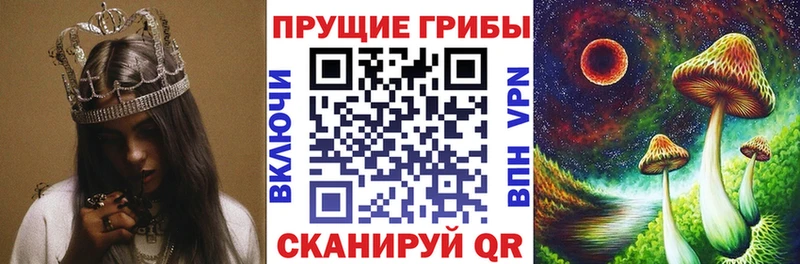 Псилоцибиновые грибы MAGIC MUSHROOMS  Злынка 